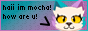 mochas 88 by 31 button